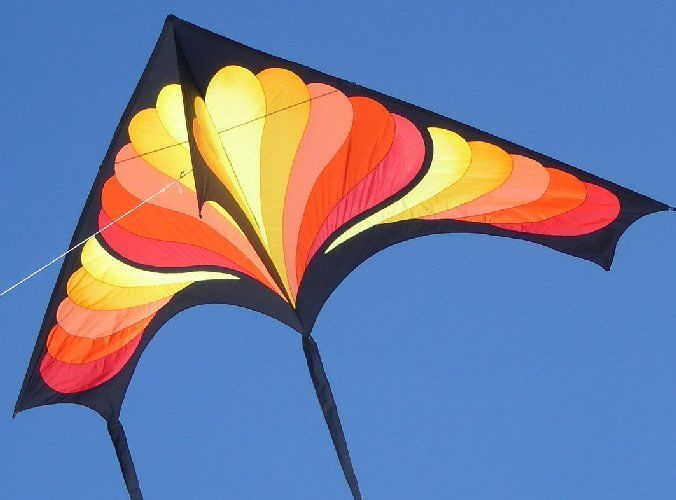 KITE COMPETITION