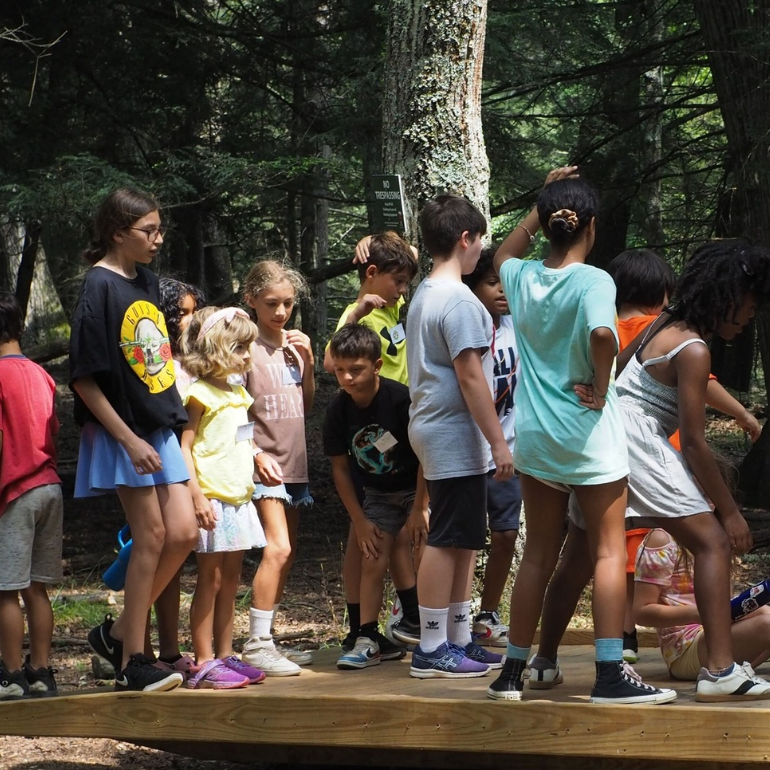 Summer Camp 2025 at the Ashokan Center